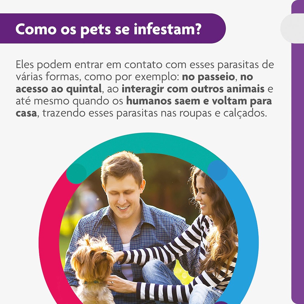 Antipulgas e Carrapatos Bravecto para Cães de 2kg a 4,5kg - 112,5mg 