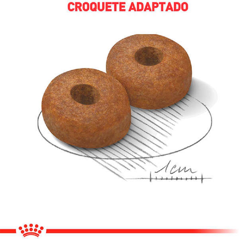 Ração Royal Canin Maxi Ageing 8+ para Cães Sênior de Raças Grandes