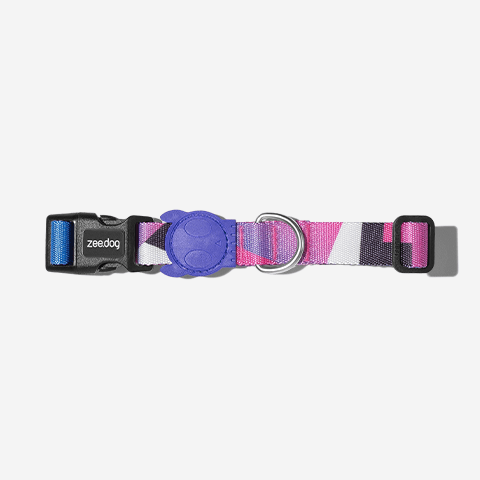 Coleira para Cachorros Midnight M