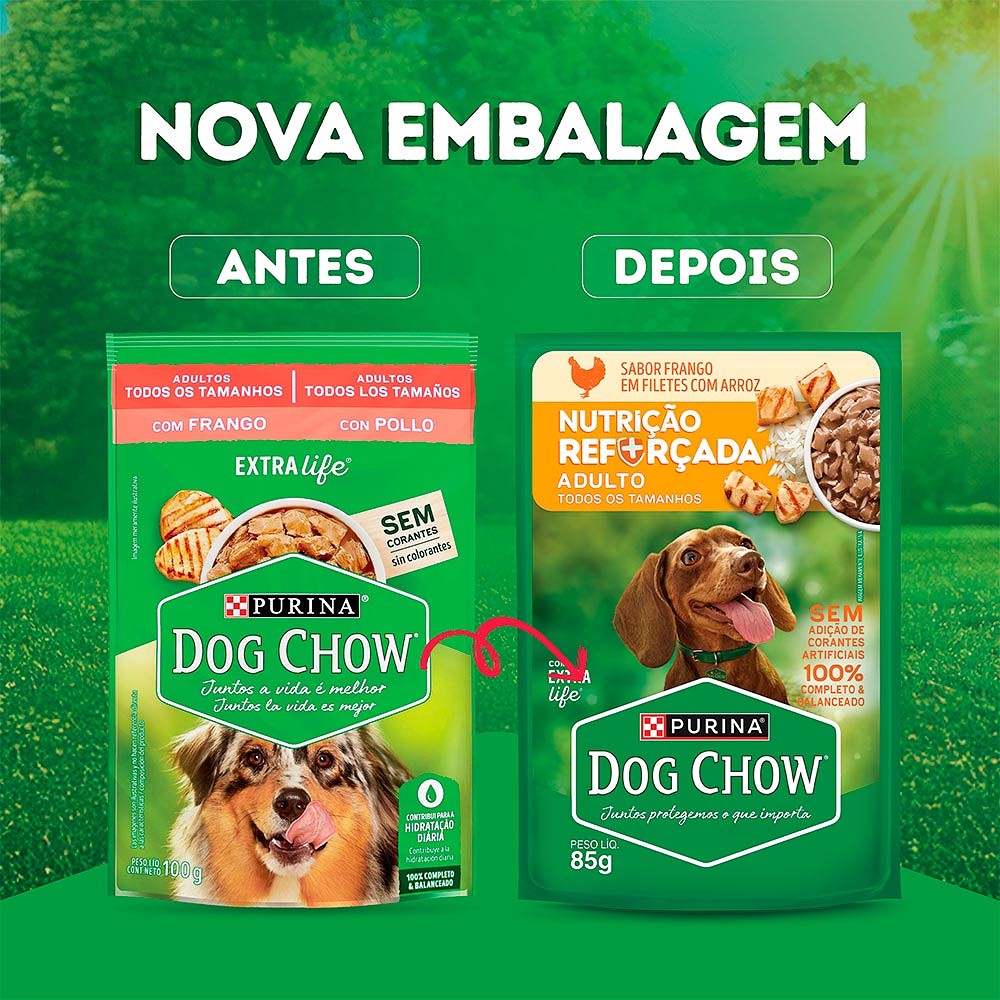 Ração Úmida Dog Chow Nutrição Reforçada para Cães Adultos Sabor Frango em Filetes com Arroz