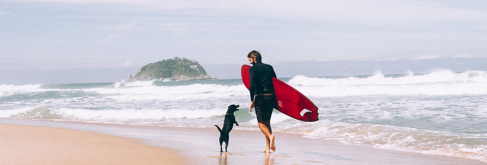 Peitoral para cachorros H Bali | Lifestyle Images