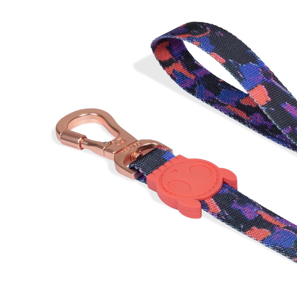 Guia para Cachorros Reebok Court