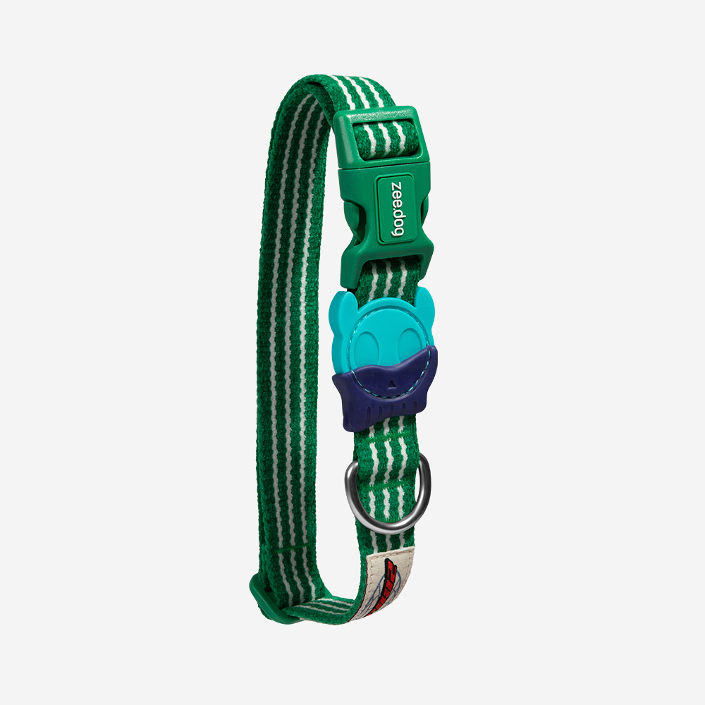 Coleira para Cachorros Velvet Vibes Vert | Imagem 0