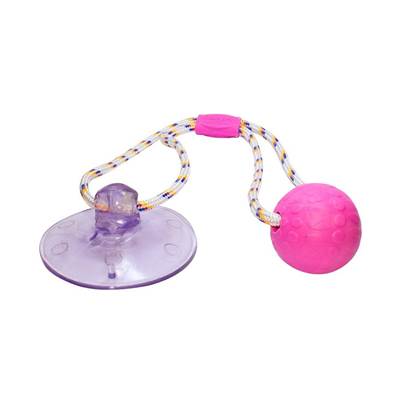 Brinquedo Truqys Push Ball Pet Rosa U