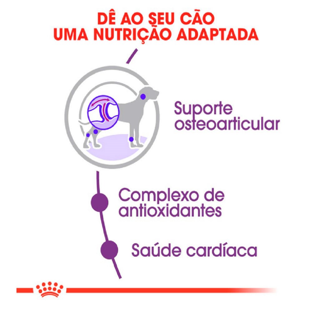 Ração Seca Royal Canin Giant para Cães Adultos ou Idosos de Raças Gigantes