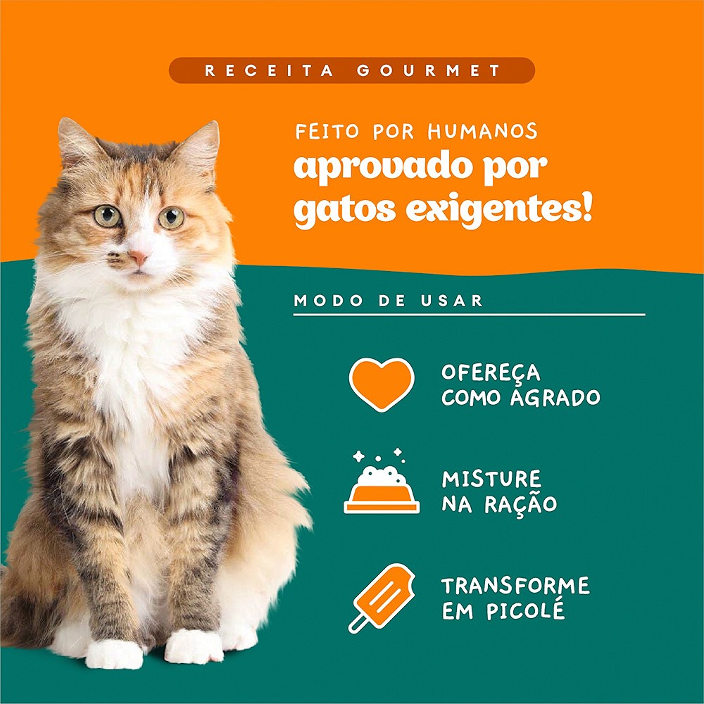 Sachê Natural Pet Delícia Ragu de Frango com Chia para Gatos