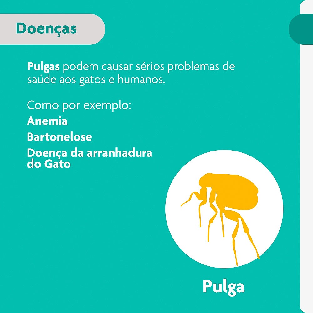 Antipulgas e Carrapatos Bravecto Transdermal para Gatos de 1,2kg a 2,8kg - 112,5mg