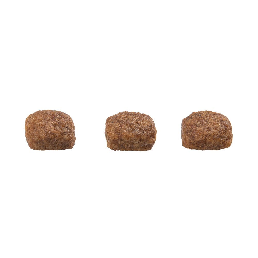 Ração Granplus Menu para Cães Adultos Porte Mini sabor Carne & Arroz