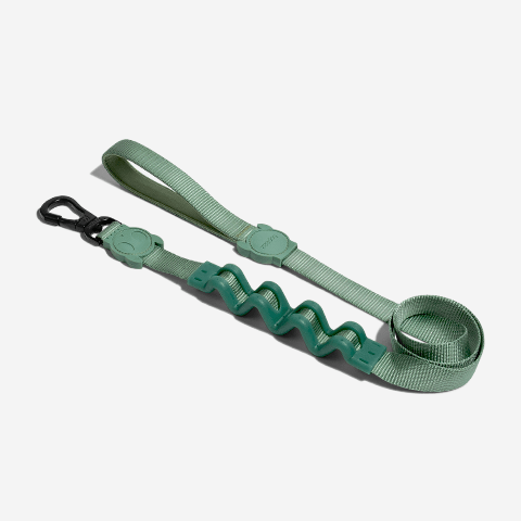 Guia com Amortecedor 2.0 para Cachorros Army Green P