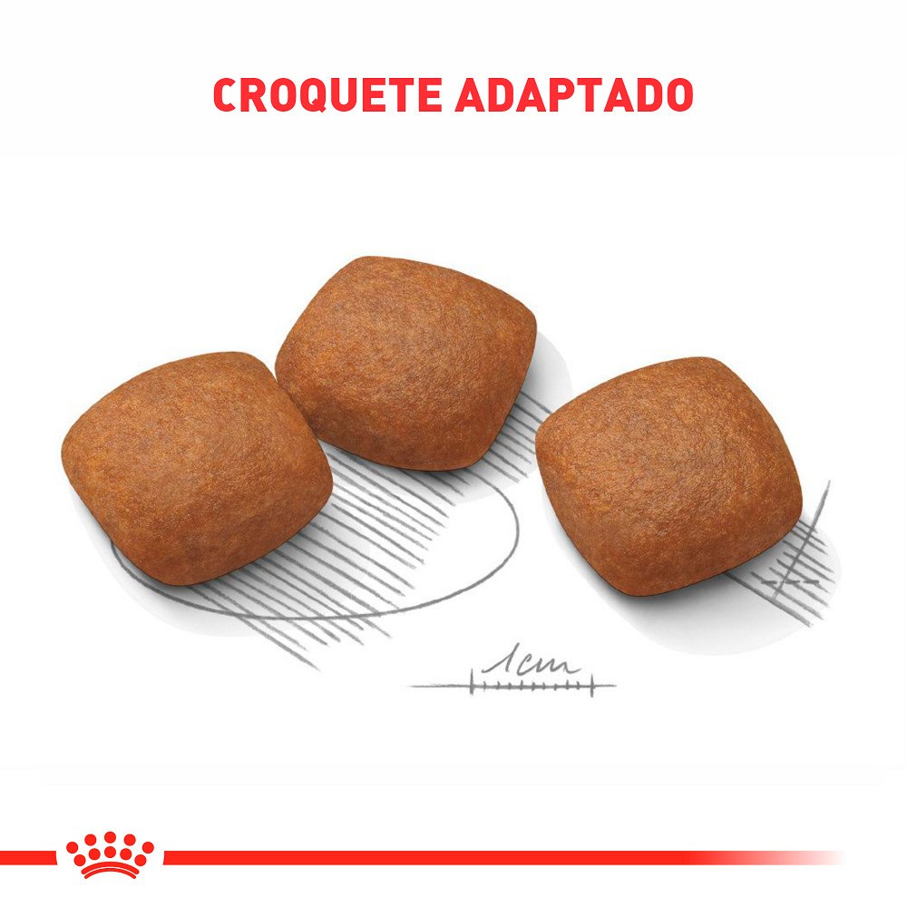 Ração Royal Canin Cuidado Articular Maxi para Cães Adultos de Porte Grande