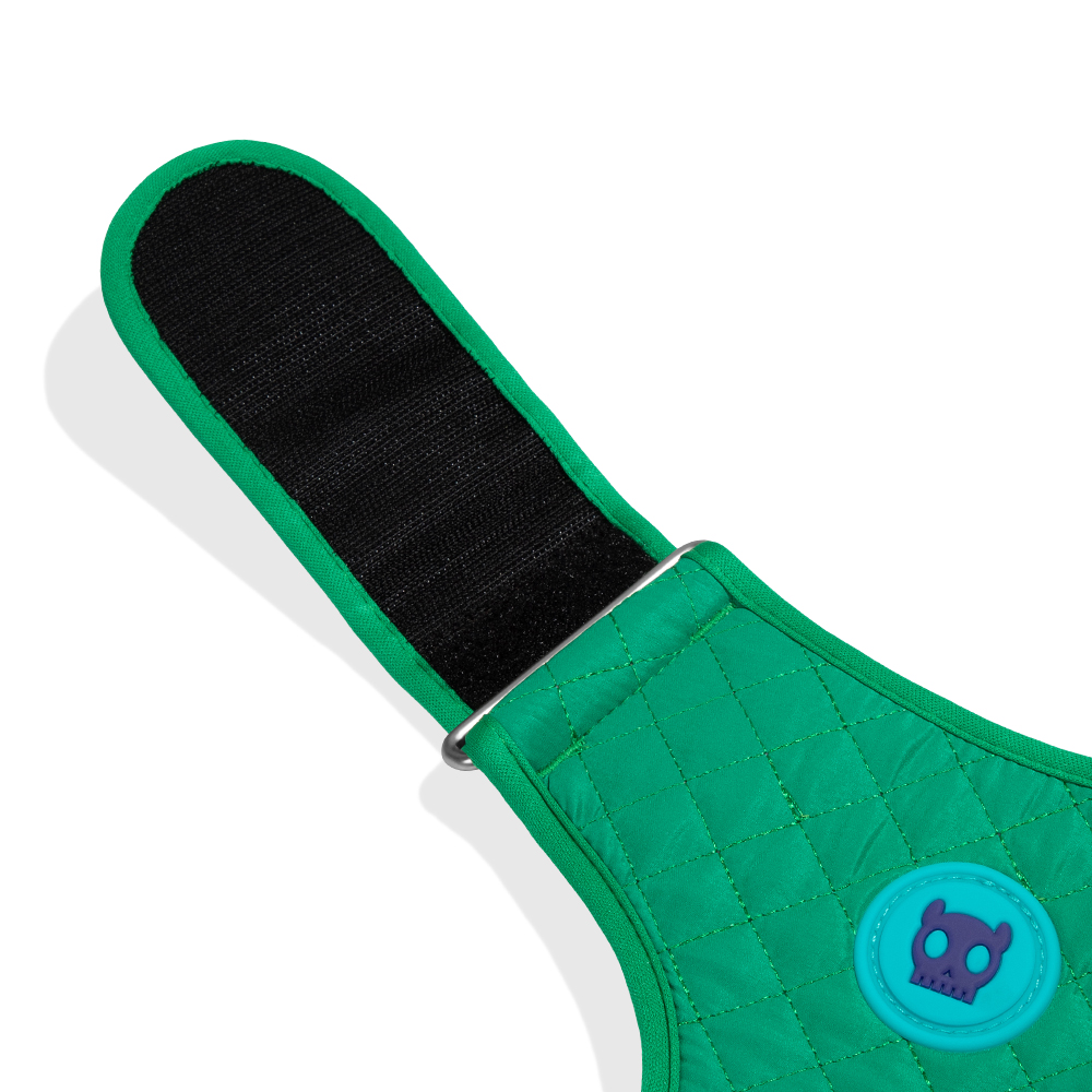 Peitoral para Cachorros Air Mesh Ajustável Velvet Vibes Vert
