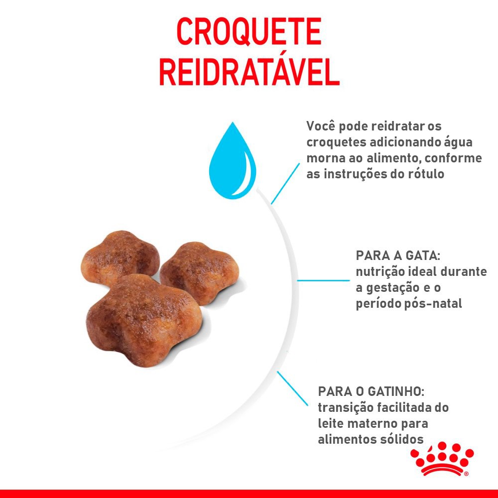 Ração Royal Canin Mother & Baby Cat para Gatos Filhotes de 1 a 4 meses de idade, Gatas Gestantes e em Lactação