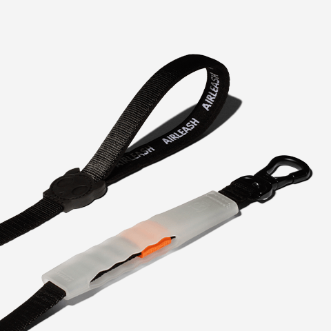 Guia para Cachorros Airleash Classic | Zee.Dog