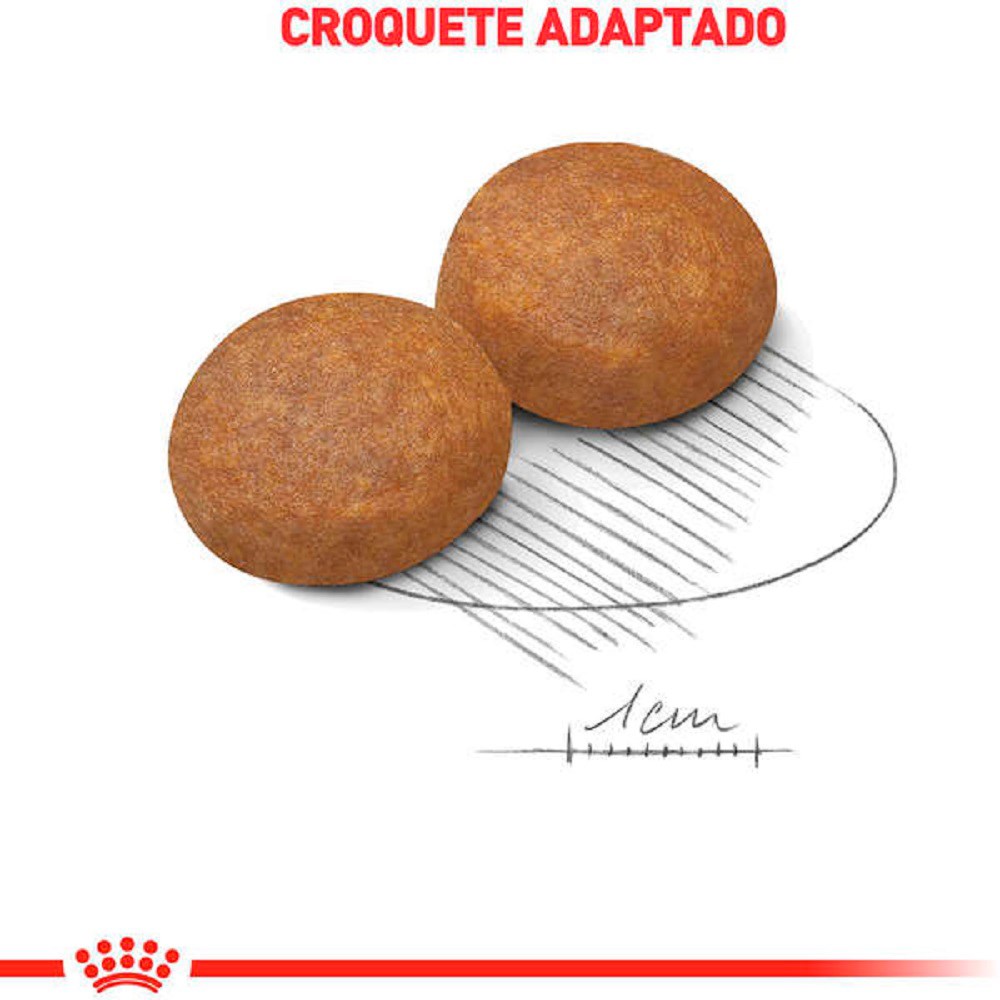 Ração Royal Canin Maxi Adult para Cães Adultos 5+ 