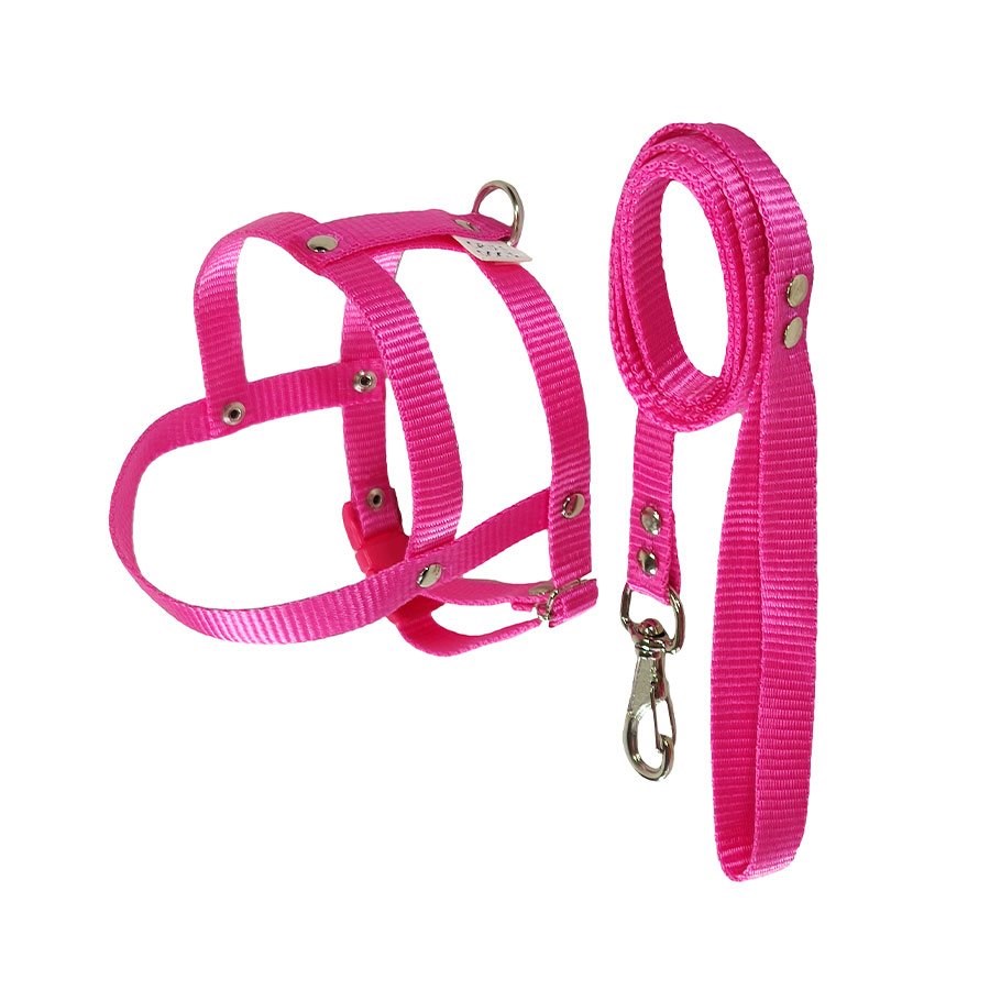 Peitoral com Guia Griff Dog Rosa para Cães