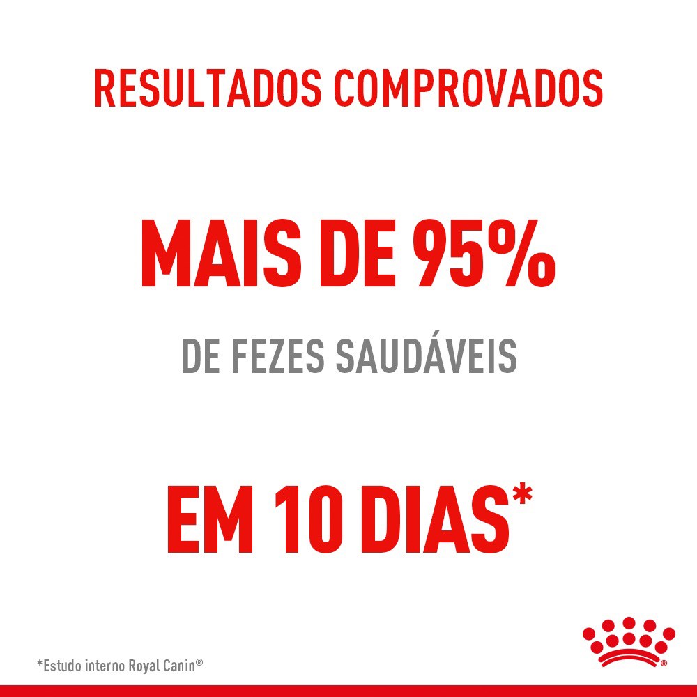 Ração Royal Canin Digestive Care Cuidado Digestivo para Gatos Adultos