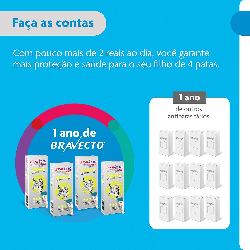 Antipulgas Bravecto Transdermal Plus para Gatos -  1 Pipeta de 112,5mg