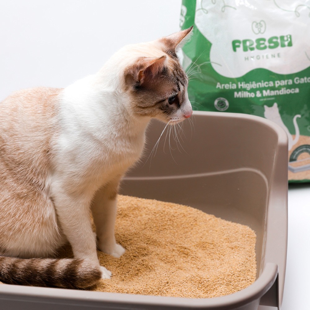 Areia Higiênica Fresh Milho e Mandioca para Gatos