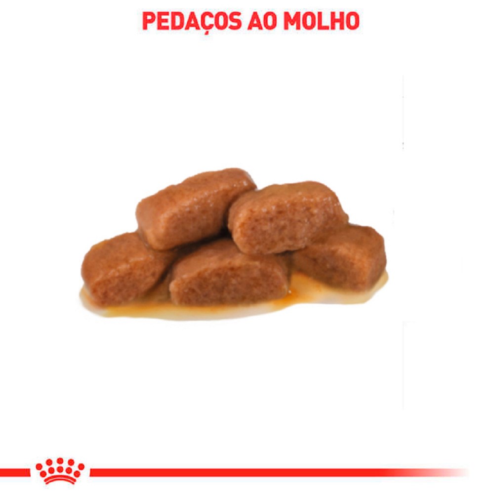 Ração Royal Canin Veterinary Diet Gastro Intestinal para Gatos - WET