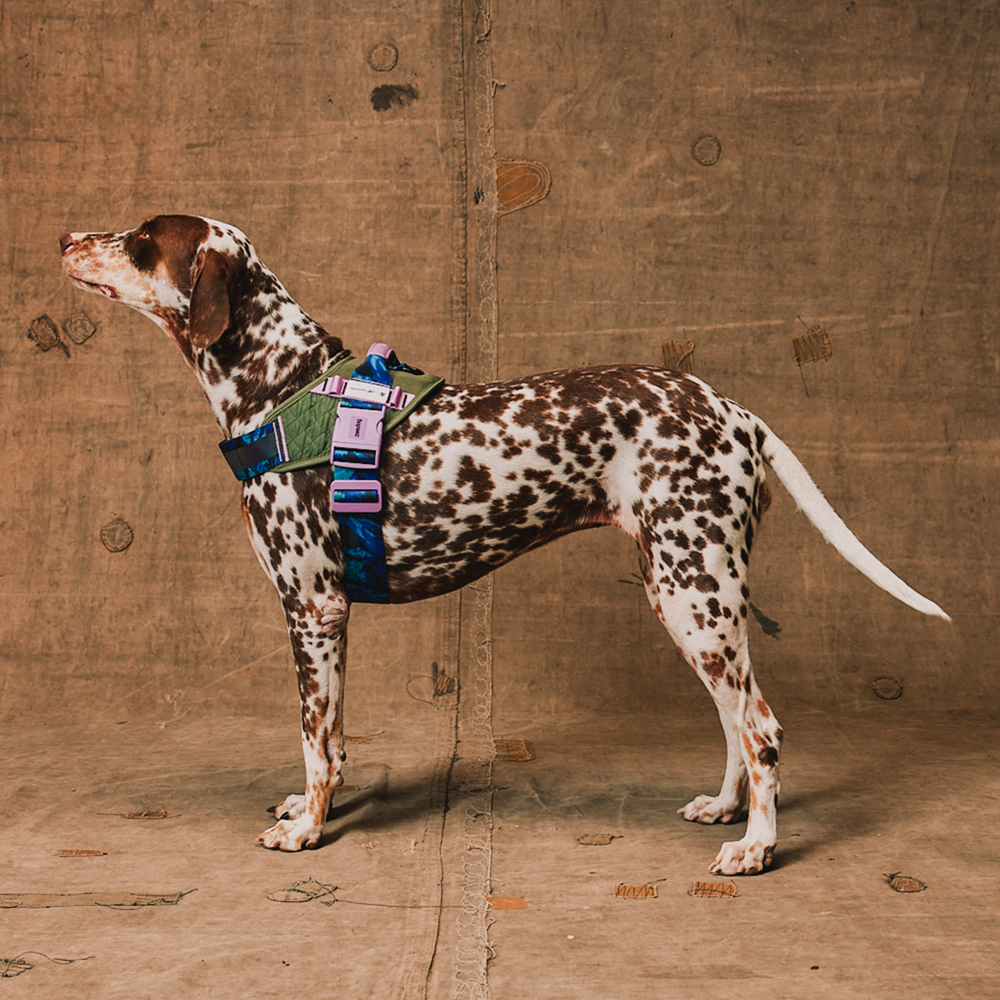 Peitoral para Cachorros FlyHarness Reebok Trekk
