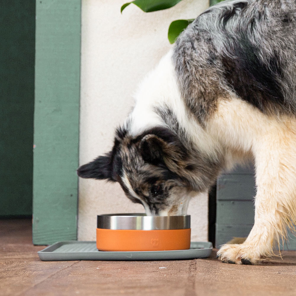 Topper para Ração Zee.Dog Kitchen sabor Carne | Imagem 3