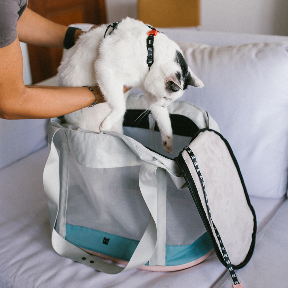 Bolsa de Transporte para Gatos Kombucha