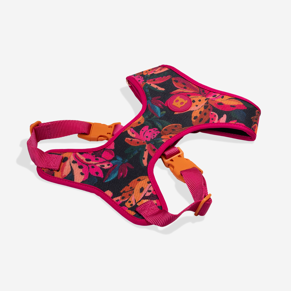 Peitoral para Cachorros Air Mesh Ajustável FARM Rio Selva | Imagem 5