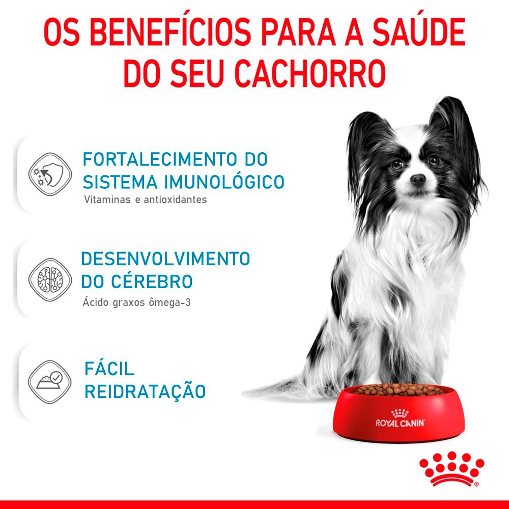 Ração Royal Canin Puppy X-Small para Cães Filhotes de Porte Miniatura