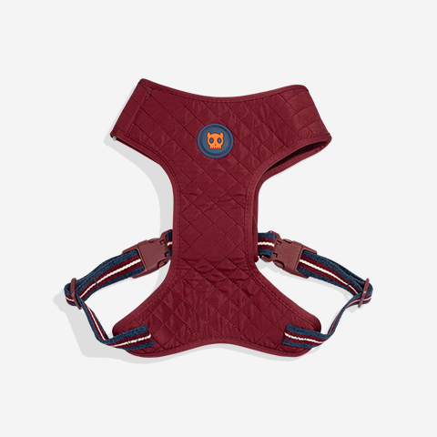 Peitoral para Cachorros Air Mesh Ajustável Velvet Vibes Dropout | Zee.Dog