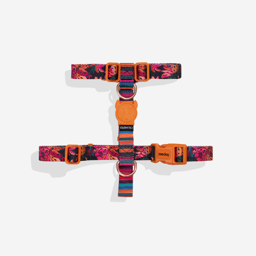 Peitoral para Cachorros H FARM Rio Selva | Imagem 0