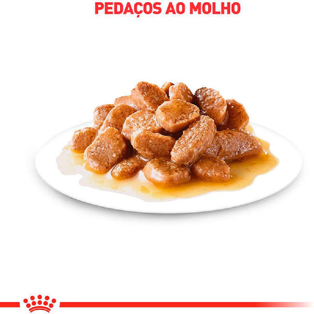Ração Royal Canin Sachê Mini Adult para Cães Adultos de Porte Pequeno