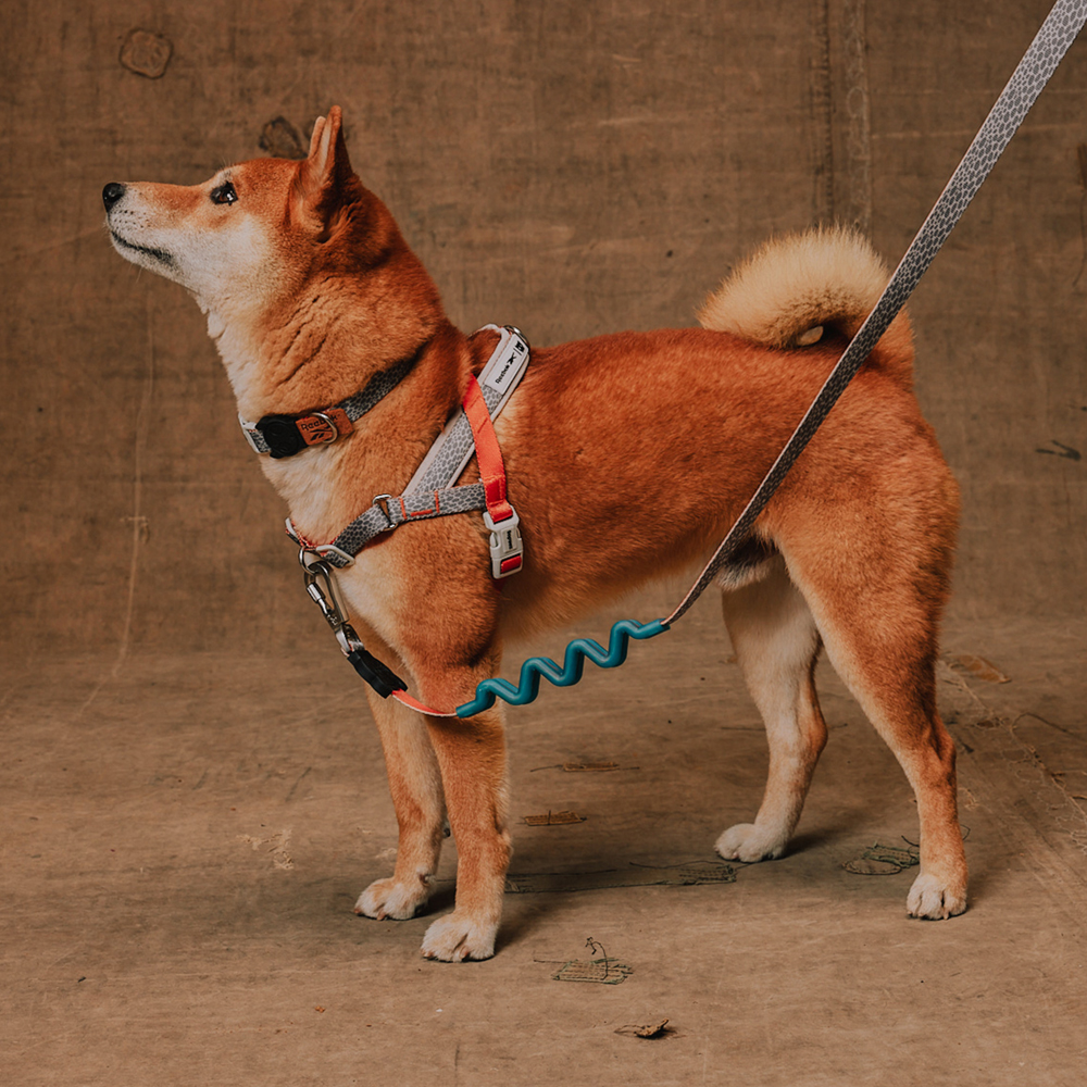 Peitoral Antipuxão SofterWalk para Cachorros Reebok Suede | Imagem 2