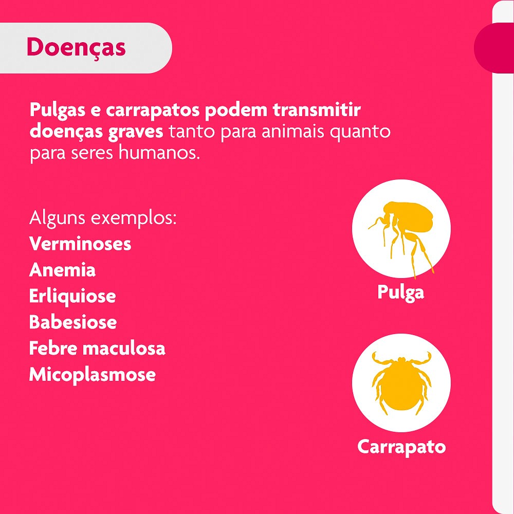 Antipulgas e Carrapatos Bravecto Transdermal para Cães de 10kg a 20kg - 500mg