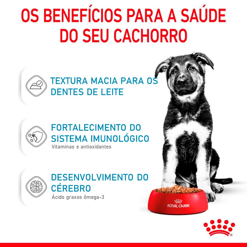 Ração Royal Canin Sachê Maxi Puppy para Cães Filhotes de Porte Grande 