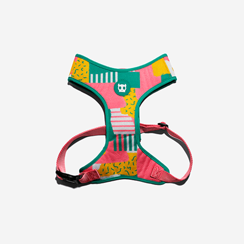 Peitoral para Cachorros Air Mesh Salina PP