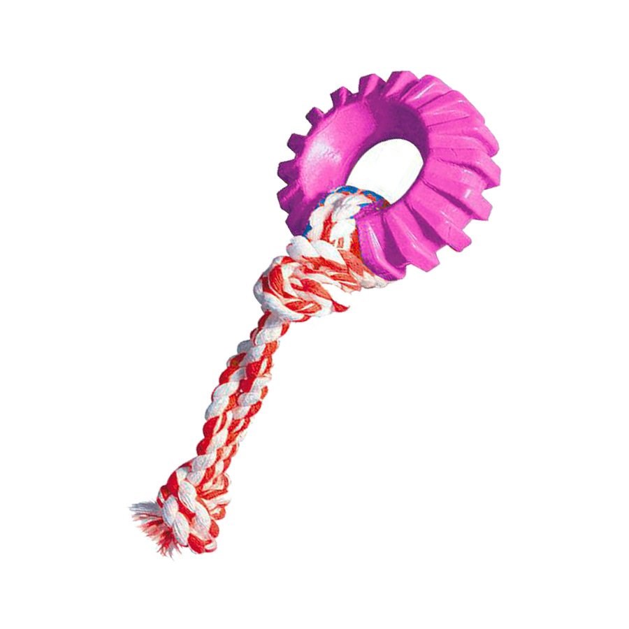 Brinquedo Furacão Pet Pneu Rally Especial com Corda Rosa para Cães U