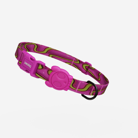 Coleira para Cachorros H3D Jelly | Zee.Dog