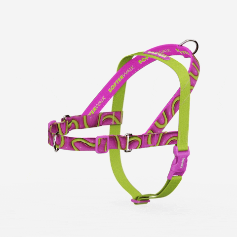 Peitoral Antipuxão SofterWalk para Cachorros H3D Jelly | Zee.Dog