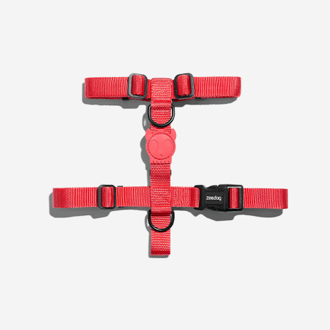 Peitoral para Cachorros H Neon Coral P
