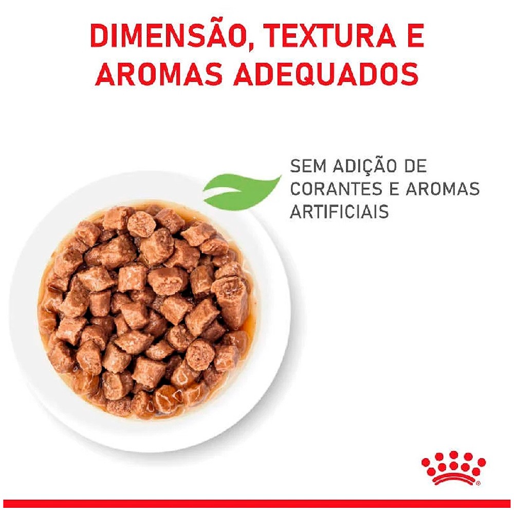 Ração Úmida Pedaços ao Molho Royal Canin Sachê para Gatos Filhotes com Até 12 Meses