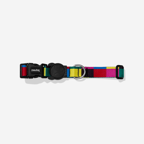 Coleira para Cachorros Colorbless M