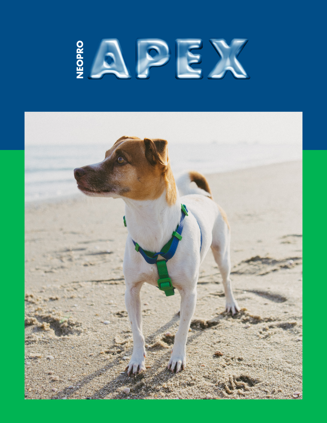 Peitoral para Cachorros H Neopro Apex