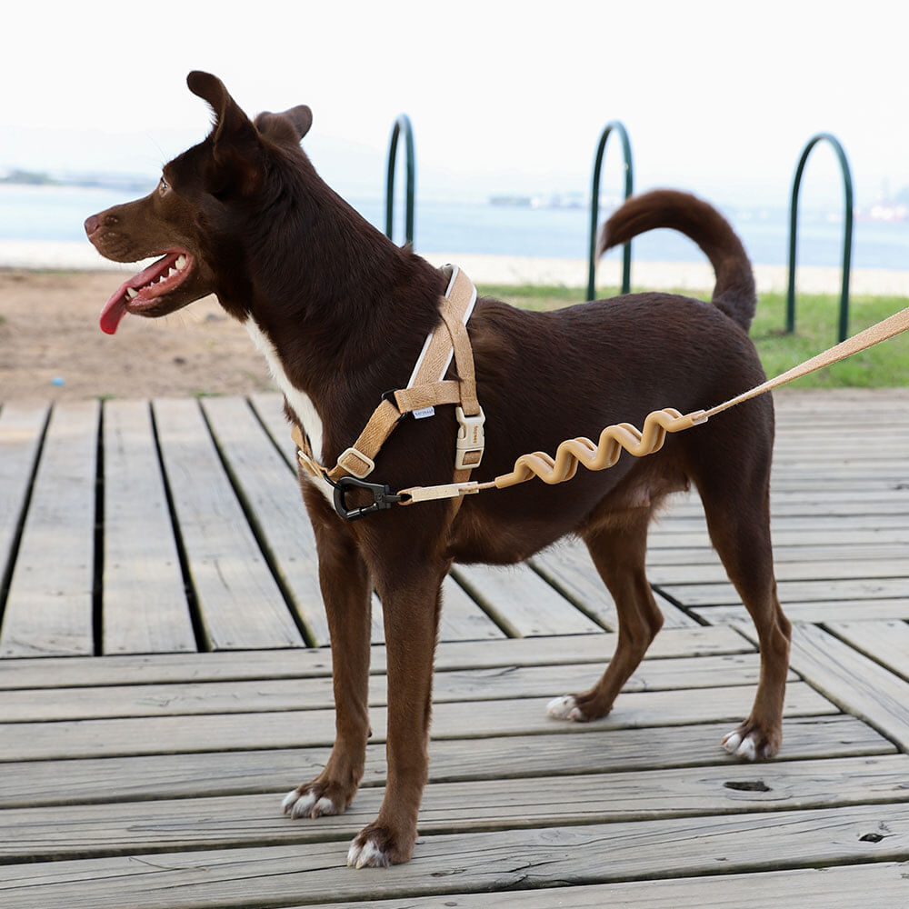 Peitoral Antipuxão SofterWalk para Cachorros Naturals Dune | Imagem 2