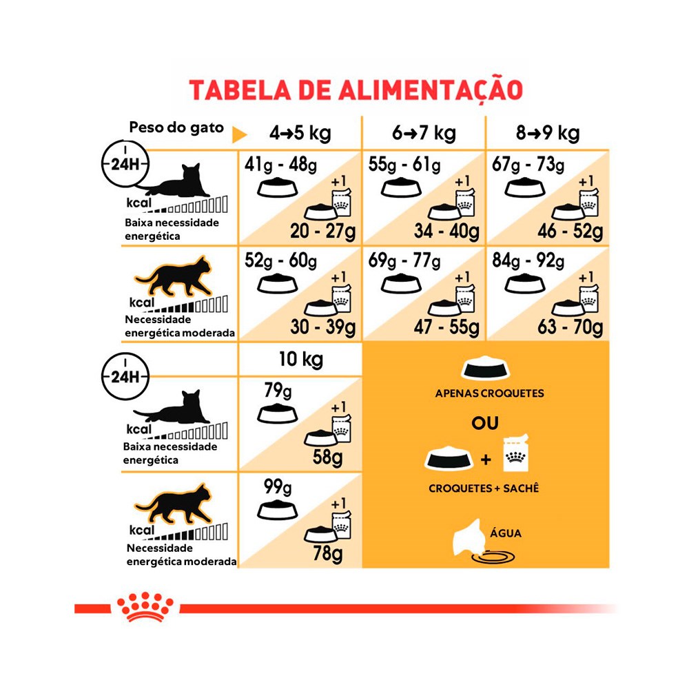 Ração Royal Canin Maine Coon para Gatos Adultos