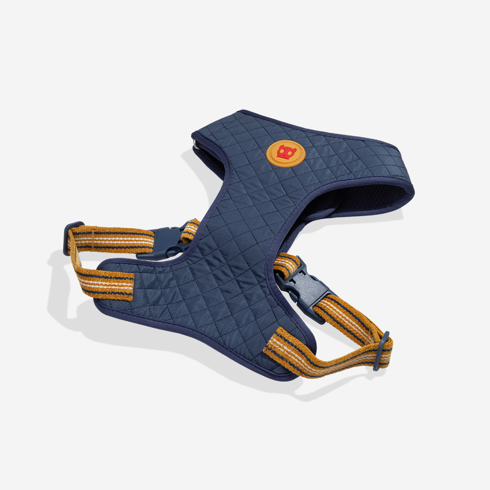 Peitoral para Cachorros Air Mesh Ajustável Velvet Vibes Misfit | Imagem 5