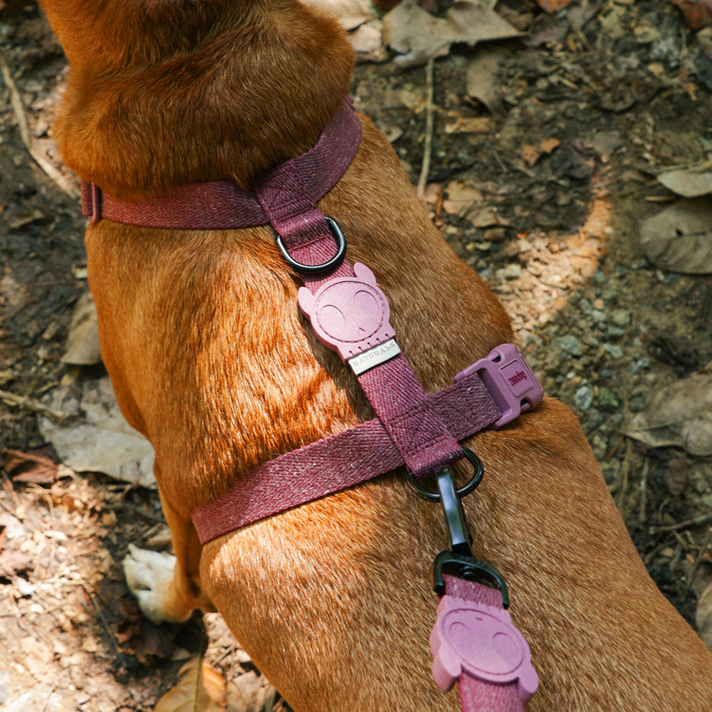 Peitoral para Cachorros H Naturals Hibiscus | Imagem 2