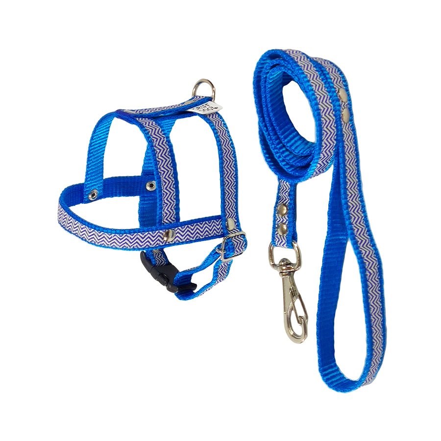 Peitoral com Guia Griff Dog Azul para Cães