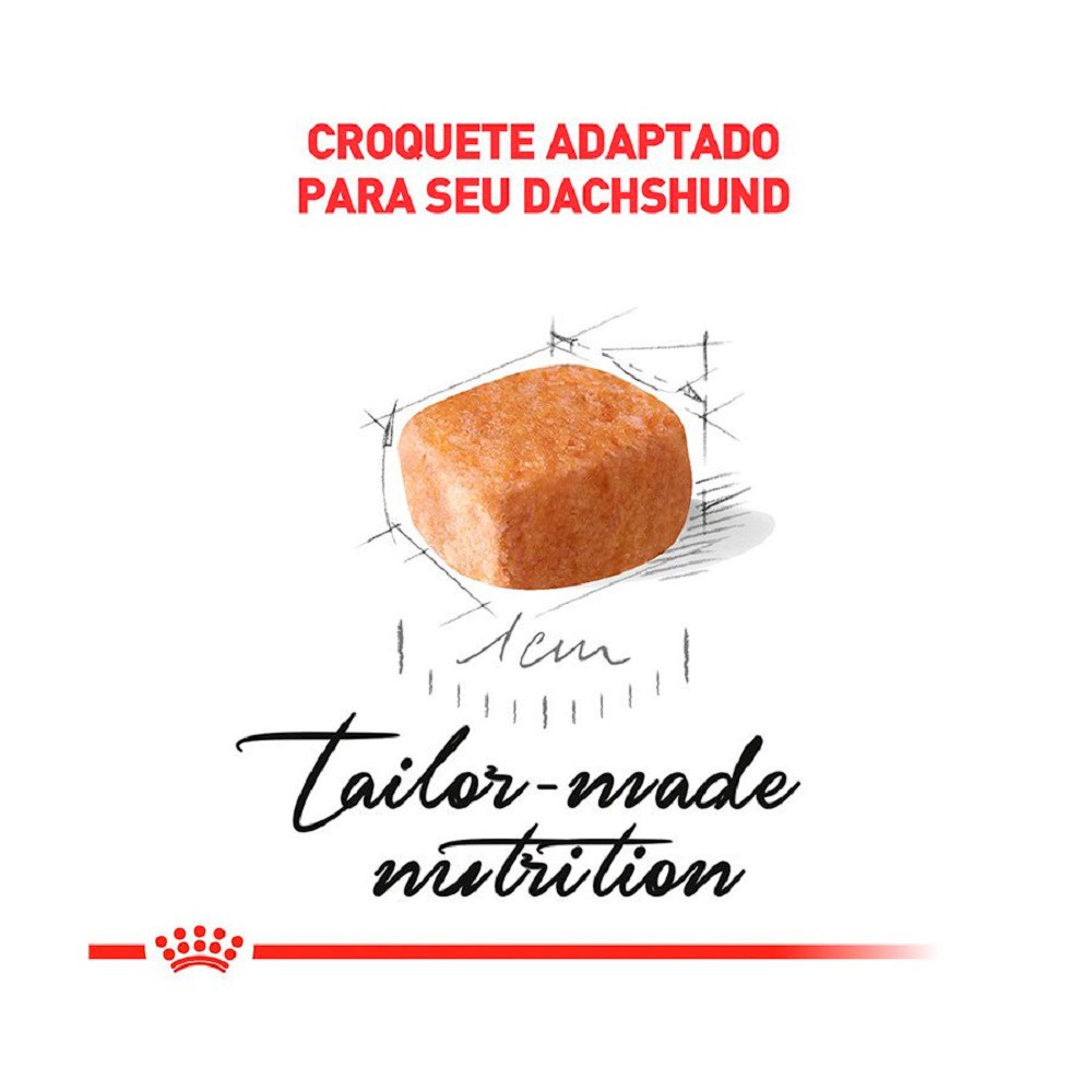 Ração Royal Canin Dachshund para Cães Filhotes 