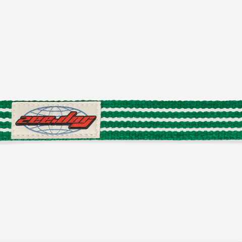 Peitoral para Cachorros H Velvet Vibes Vert | Zee.Dog