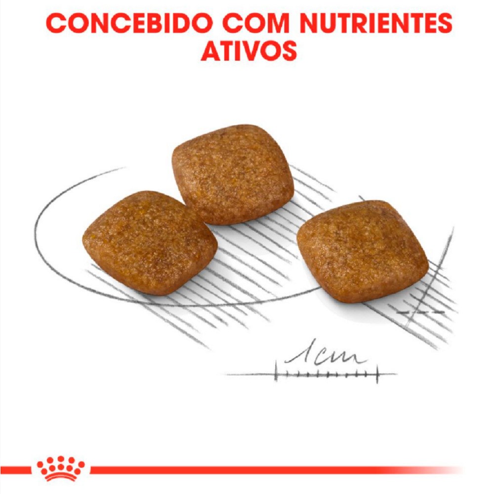Ração Royal Canin Relax Care Mini para Cães Adultos